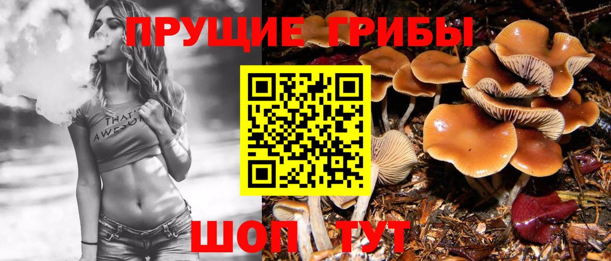 Псилоцибиновые грибы мухоморы Берёзовский