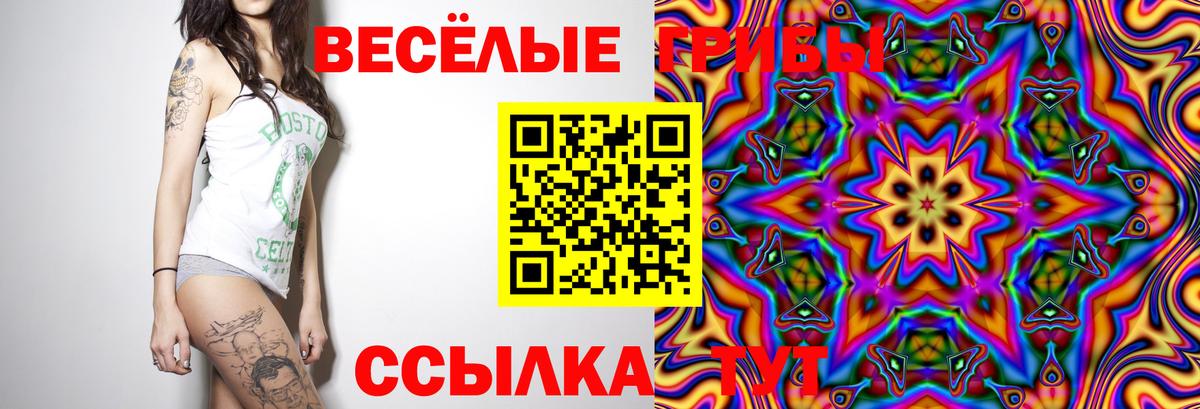 Галлюциногенные грибы прущие грибы  Вход с VPN  Берёзовский 